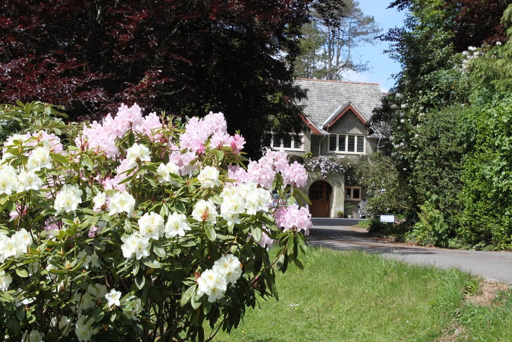 Knapp House Lodges East Anstey Dış mekan fotoğraf